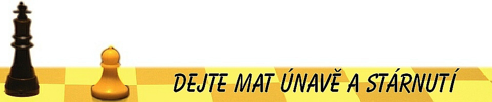 MV Studio Logo